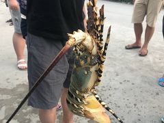 -拉威海鲜市场