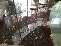 iphone_upload_pic-如家酒店(上海陆家嘴东方明珠浦东大道地铁站店)