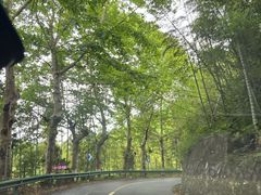 -莫干山风景区
