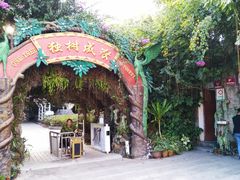 -瑞丽独树成林风景区