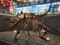 -国家自然博物馆