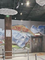 -飞览天下沉浸式飞行体验(北京旗舰店)