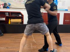 -温鉴良实用咏春拳