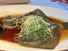 清蒸多宝鱼-一品红川菜(皇岗店)