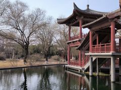 -百脉泉景区