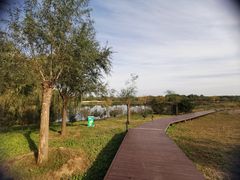 -东郊湿地公园