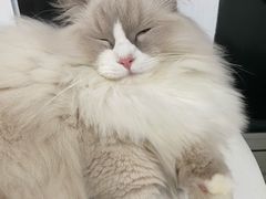 -一间摄影工作室(天安云谷店)