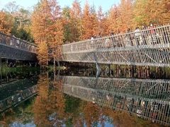 -梅峰山地公园