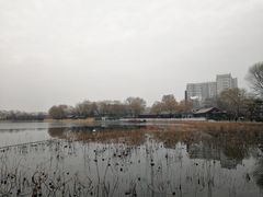 -郭守敬纪念馆