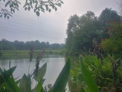 -桤木河湿地公园