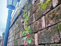 -半岛1919创意园区