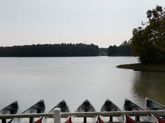 -上海海湾国家森林公园