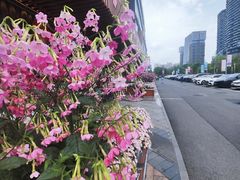 -苏宁广场·城市奥特莱斯(天府立交店)