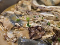 -9号小厨师(端平桥店)