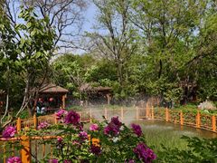 -太阳宫公园