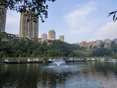 -重庆彩云湖湿地公园