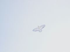 -珠海金沙滩