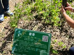 -广西壮族自治区药用植物园
