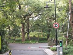 -杭州植物园