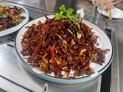 -小眼睛餐饮&杨杨夜宵