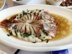 -骏莱海鲜鱼港(五角场店)