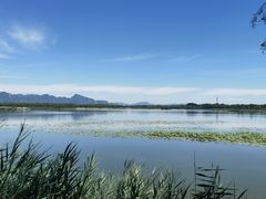 -野鸭湖国家湿地公园