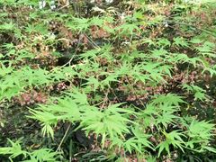 -上海植物园-4号门售票处