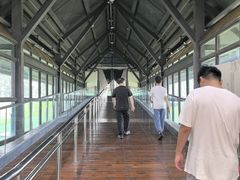 -鸿山遗址博物馆