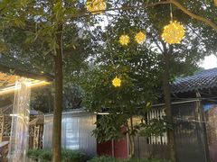 -醉月城西昌火盆烧烤(天府店)