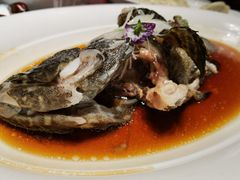 -百富源·海鲜辽菜(张士店)
