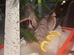 -领鲜天下·焗海鲜·花胶鸡(天目里店)