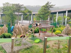 -大连森林动物园