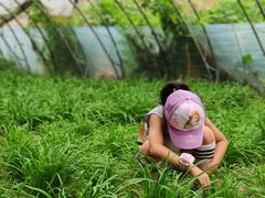 -万源龙顺度假庄园生态观光园