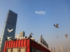 -星海广场