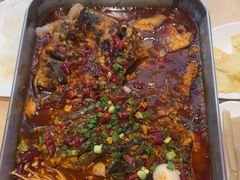 -鱼酷活鱼烤鱼(沈阳大悦城店)