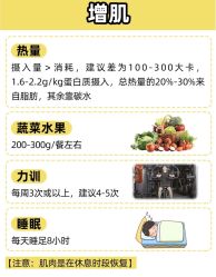 -Fundi张玉珊修身堂·indiba·BTL科技瘦身