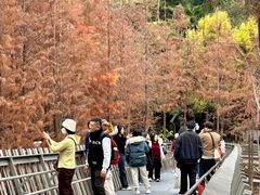 -福道