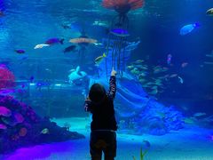 -沈阳海洋探索中心