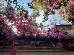 -深圳国际园林花卉博览园