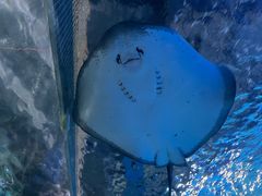 -常州海昌海洋探索馆