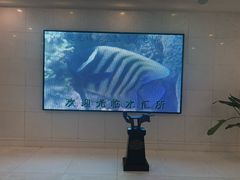 -华西龙希国际大酒店旅游观光景区