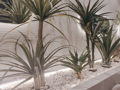 -兰湘子·湘菜小炒(崂山丽达店)