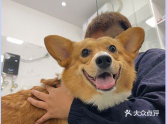 铂乐宠物医院 24小时 |超有爱