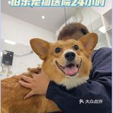 🌈铂乐宠物医院 24小时 |超有爱💘