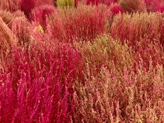 -汉长安城未央宫国家考古遗址公园