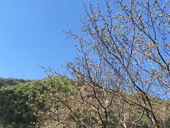 -京东石林峡风景区
