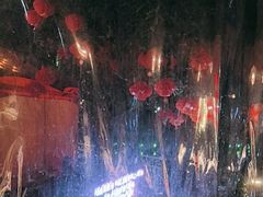 -二荆条·蜀鲜汇城市森林火锅