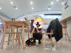 -柴犬小屋·柴餐厅·狗咖食堂(金鼎广场店)