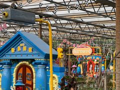 -南宫五洲植物乐园