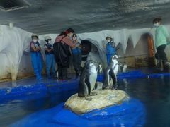 -太平洋海底世界